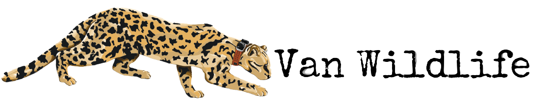 Van Wildlife